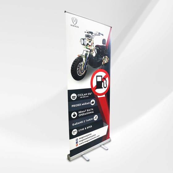 Roll Banner Albatros 60x160cm