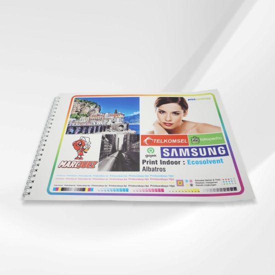 Print Poster Albatros A1